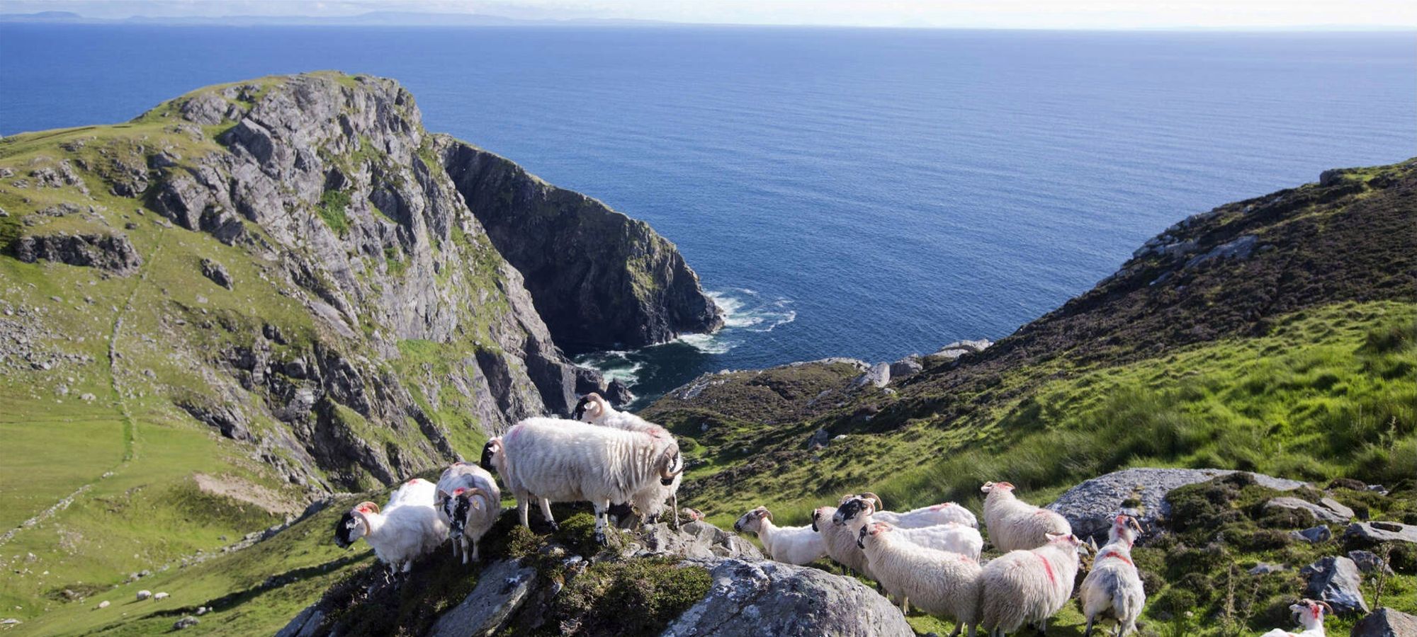 Slieve League Tour Experience